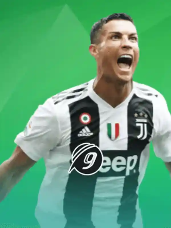 9Wickets ক্যাসিনো ও বেটিং