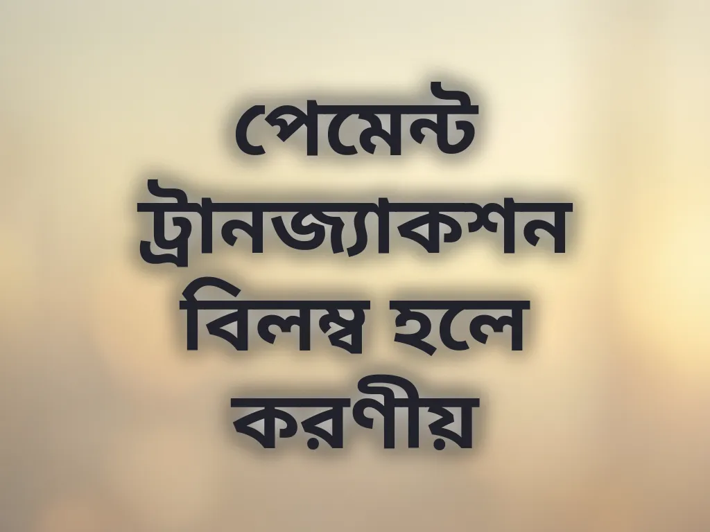 পেমেন্ট ট্রানজ্যাকশন বিলম্ব হলে করণীয়
